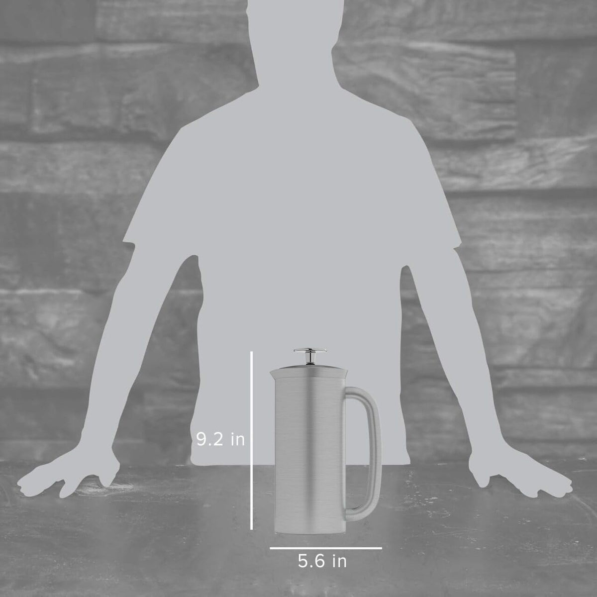 18oz Brushed Stainless Steel French Press E821462