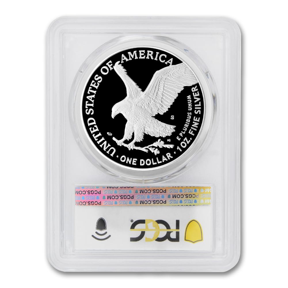 1 oz American Silver Eagle Coin O695