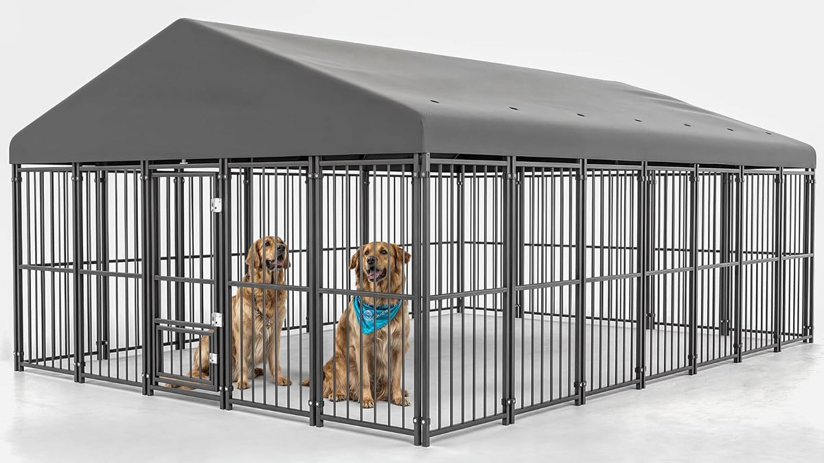 10x14FT Heavy Duty Large Dog Kennel Outdoor D7280