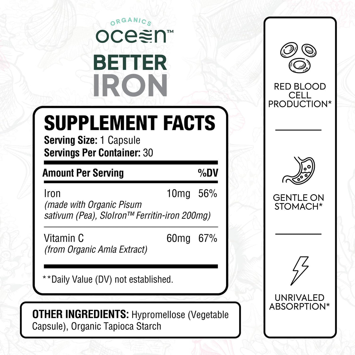 Plant-Based Iron Supplement, 30 Capsules R90208