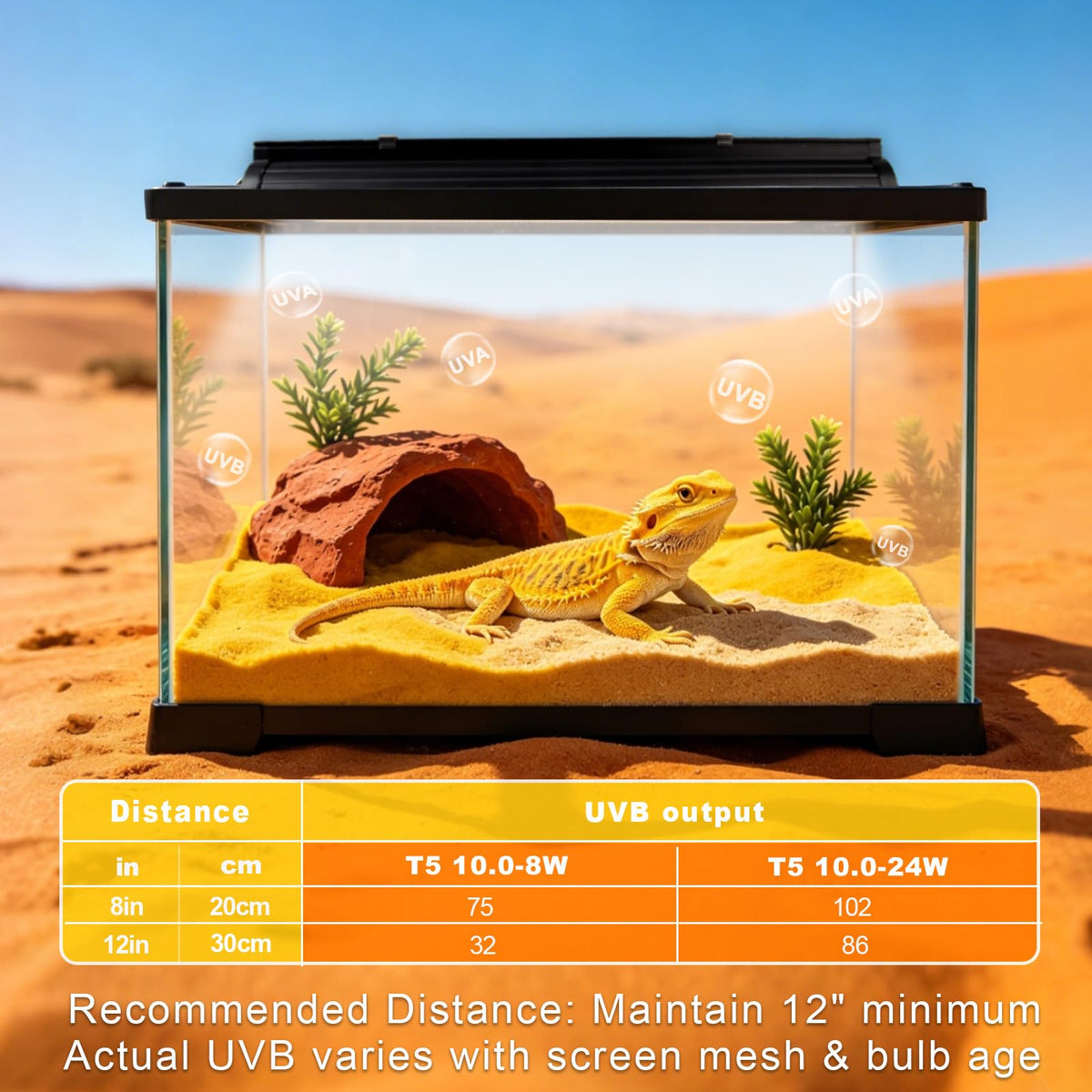 8W 10.0 UVB Reptile Light Fixture Combo Kit with Terrarium Hood D752