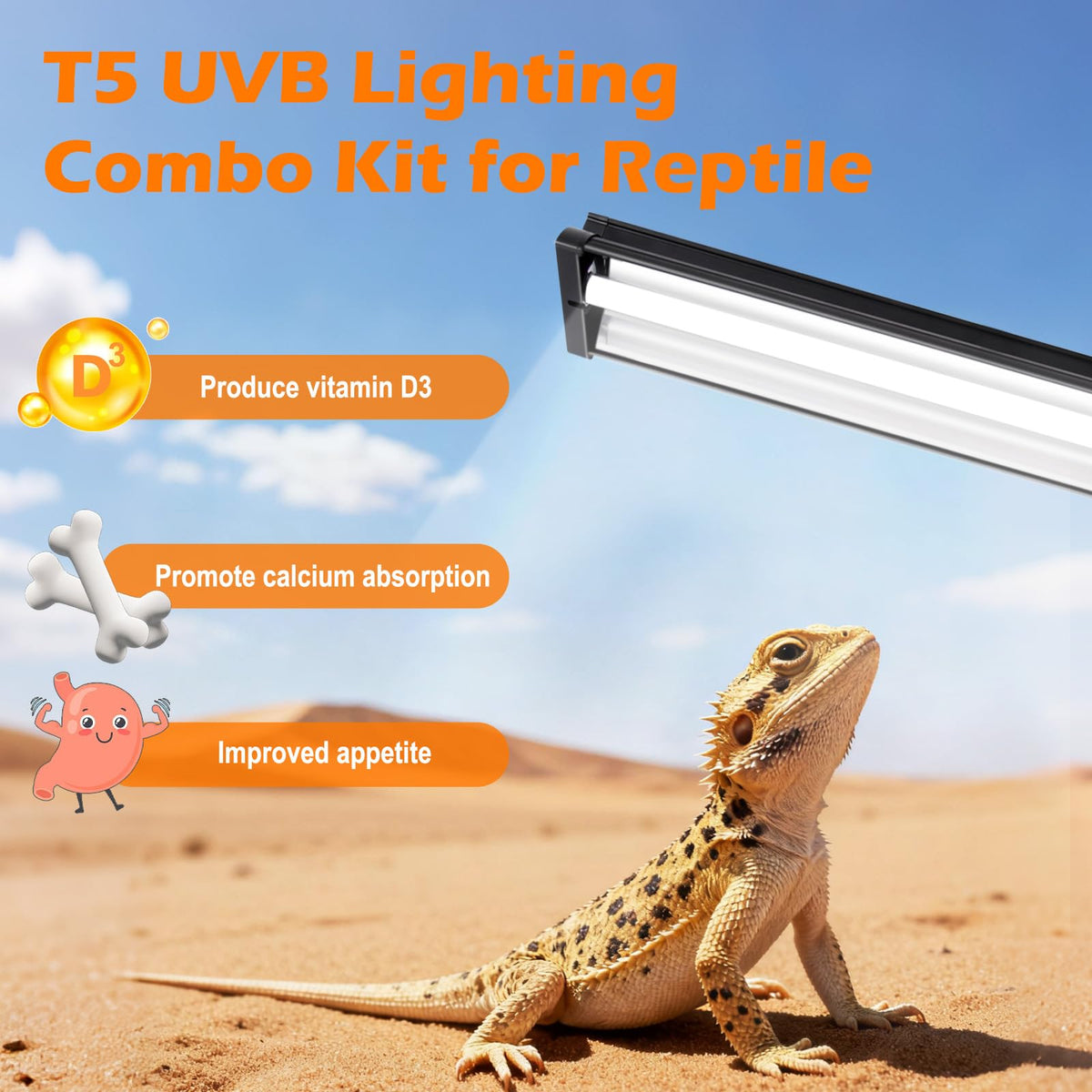 8W 10.0 UVB Reptile Light Fixture Combo Kit with Terrarium Hood D752