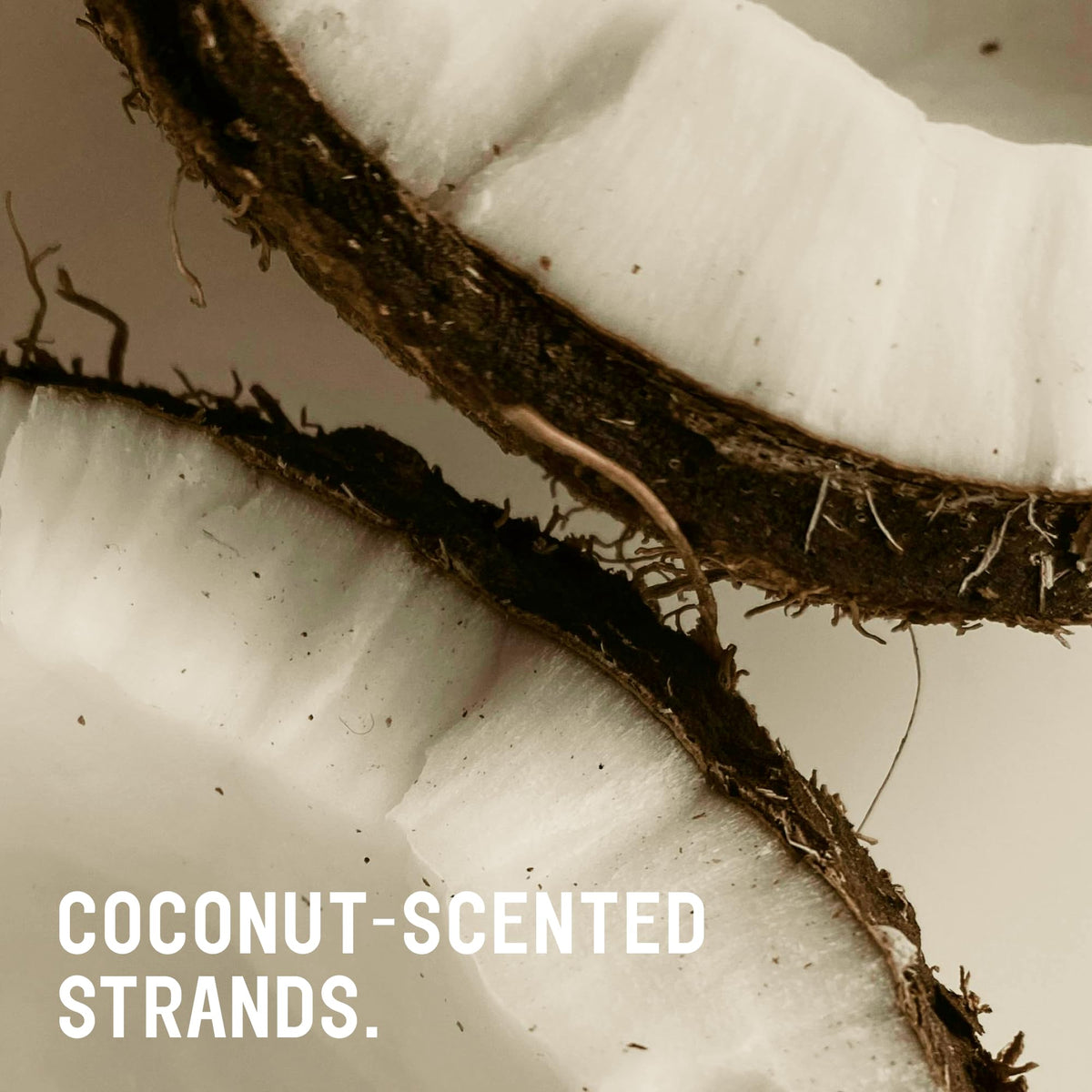 Toasted Coconut Shampoo Conditioner Set, Vegan, Sulfate Free, 20 Fl Oz Q766