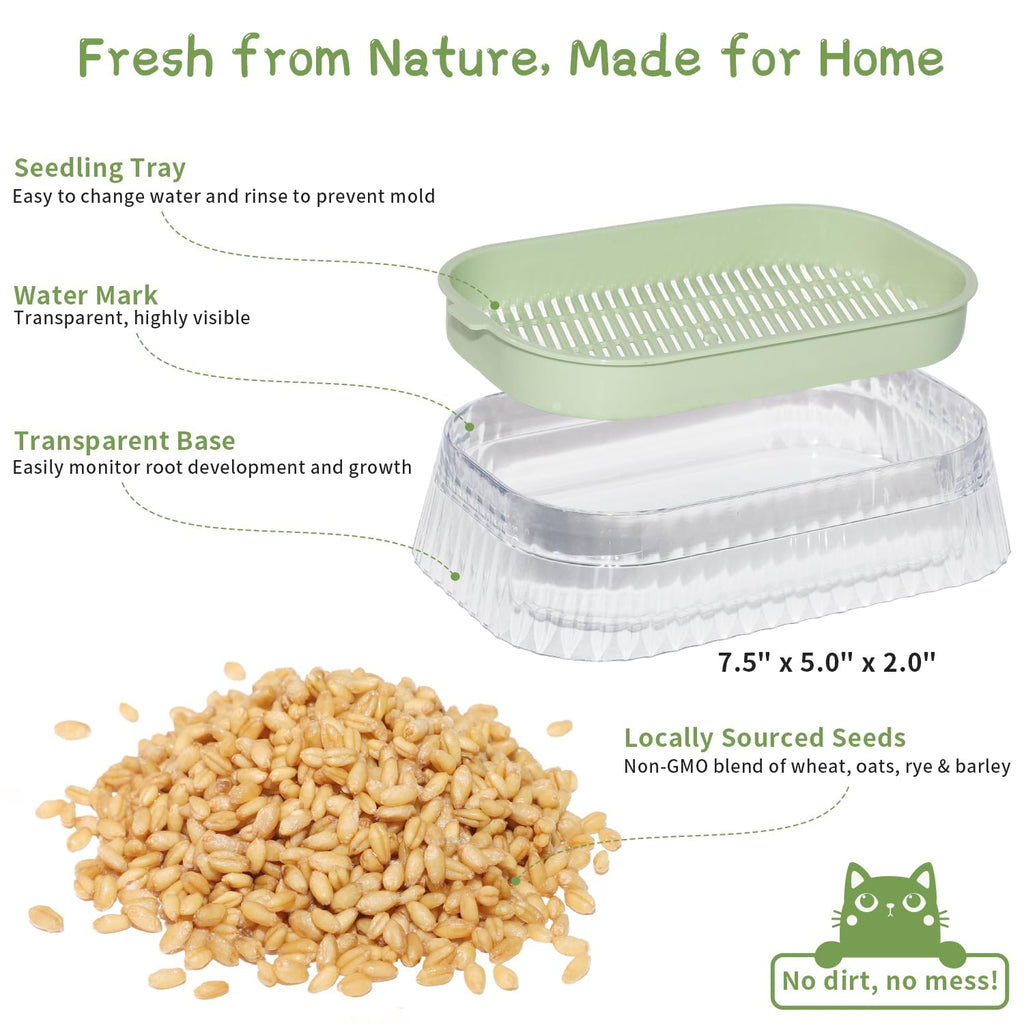 Cat Grass Growing Kit with 5 Pack Non GMO Seeds N527553