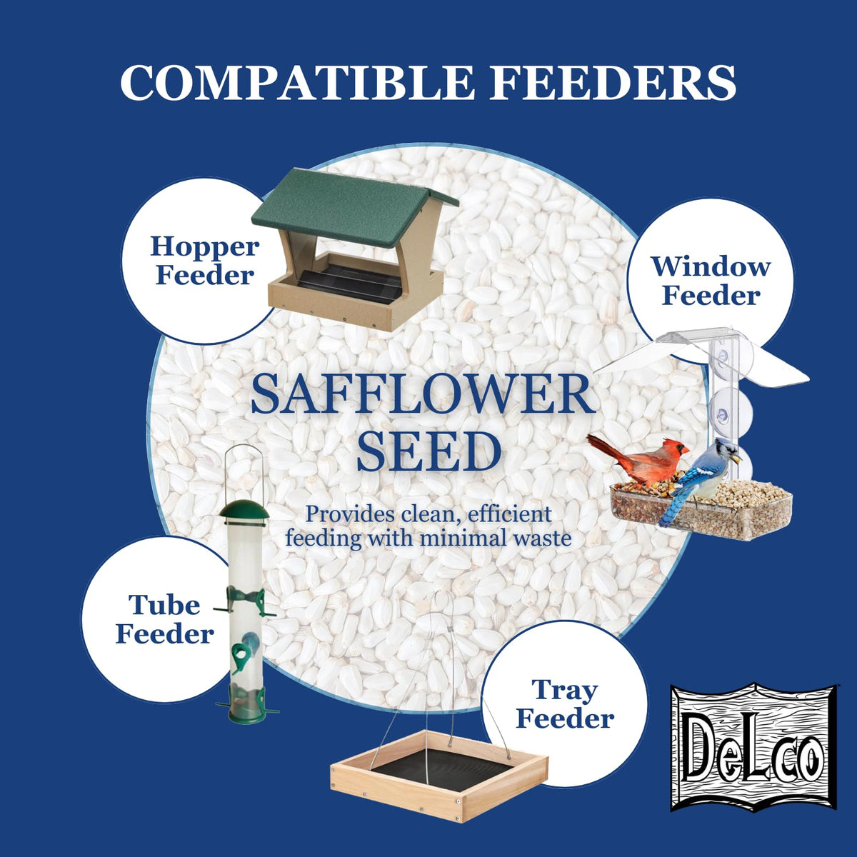 Safflower Wild Bird Seed 20 lb Bag N92842