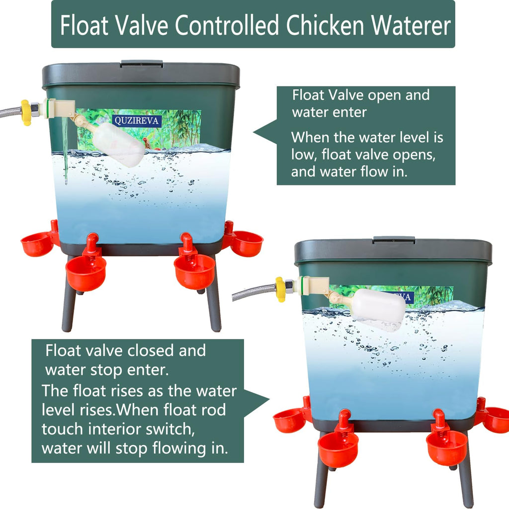 4 Gallon Automatic Float Controlled Poultry Waterer with Hose and Cups D494