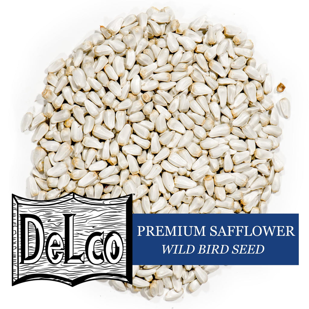 Safflower Wild Bird Seed 20 lb Bag N92842