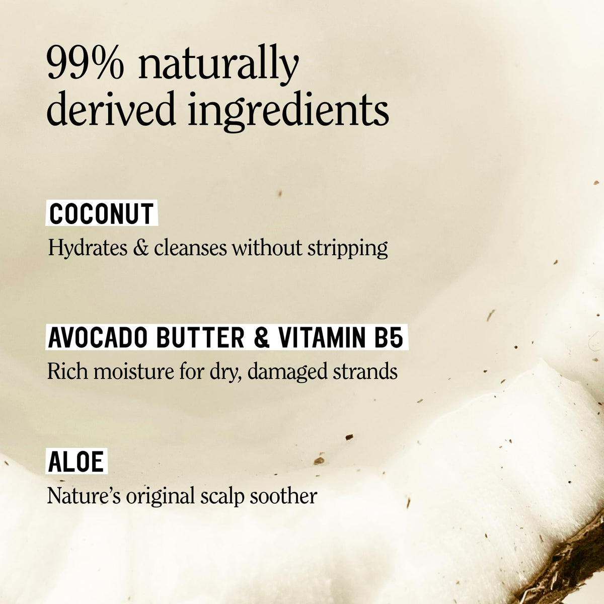 Toasted Coconut Shampoo Conditioner Set, Vegan, Sulfate Free, 20 Fl Oz Q766