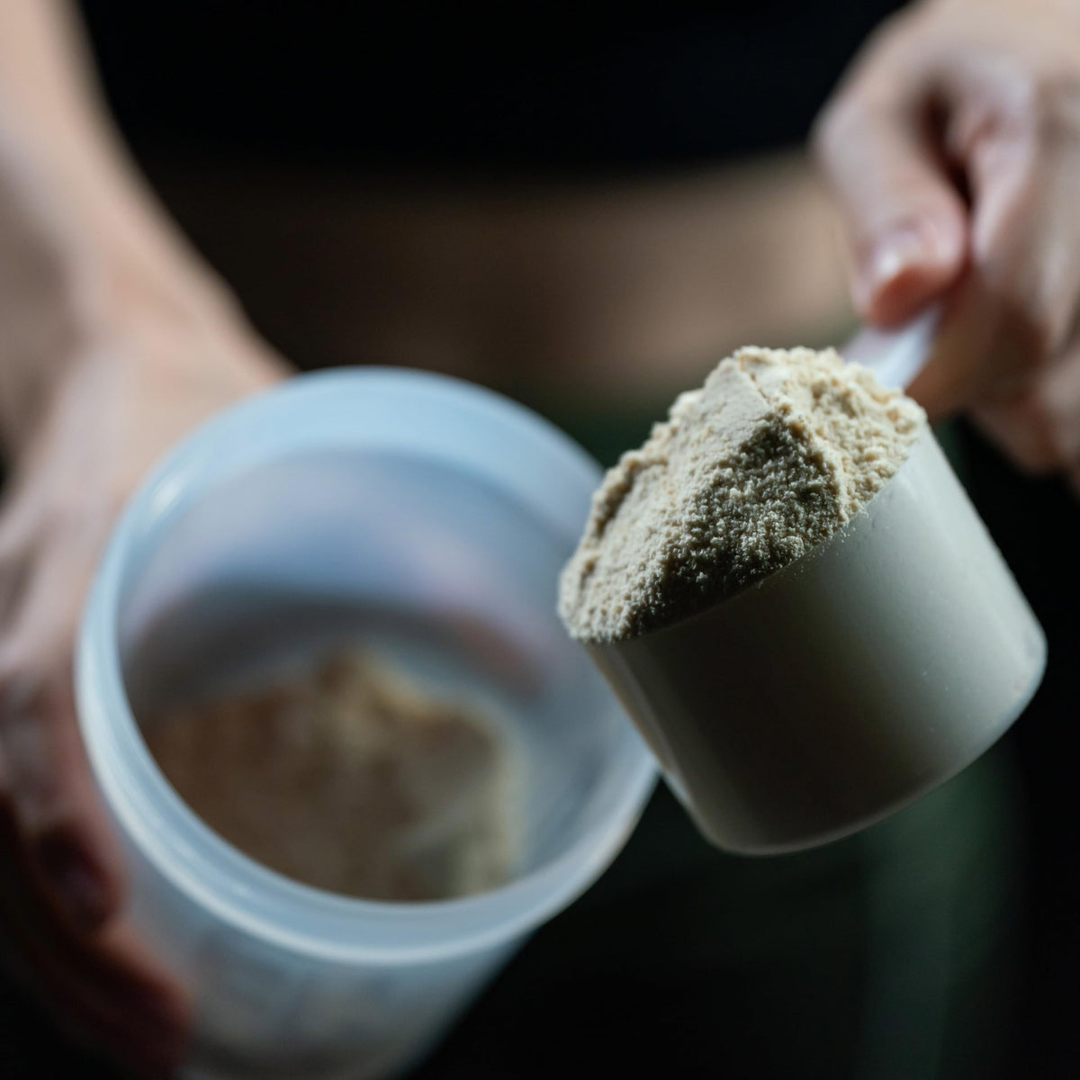 Vegan Protein Powder Vanilla W82018