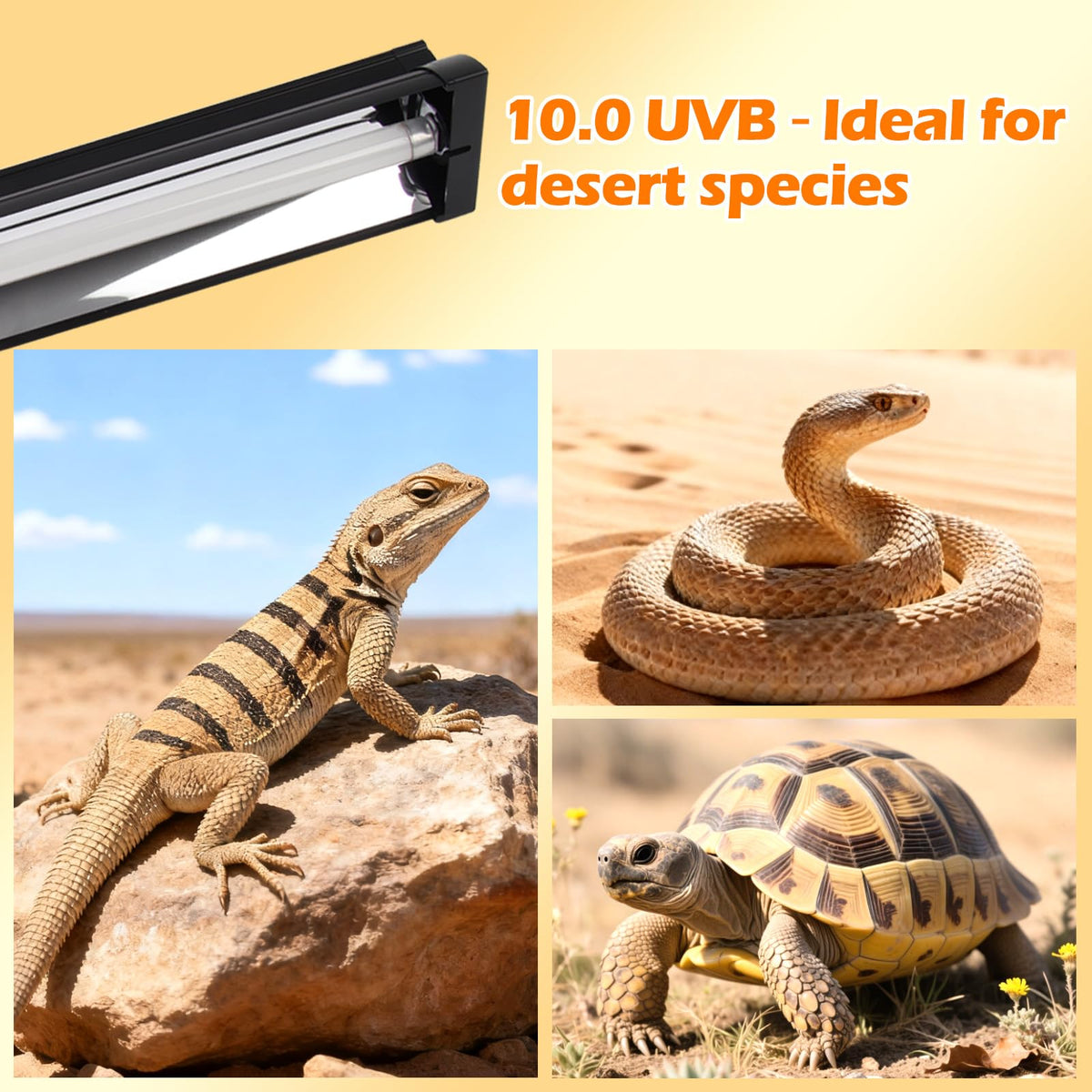 8W 10.0 UVB Reptile Light Fixture Combo Kit with Terrarium Hood D752