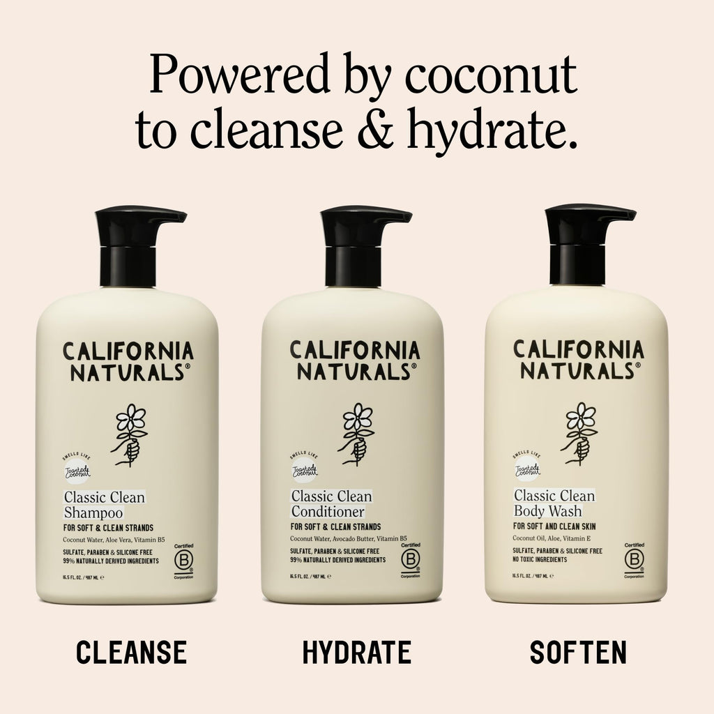 Toasted Coconut Shampoo Conditioner Set, Vegan, Sulfate Free, 20 Fl Oz Q766