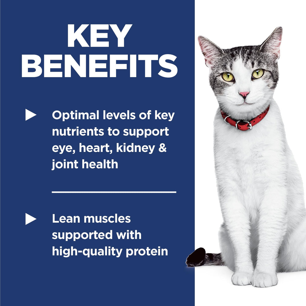 Dry Cat Food I639881