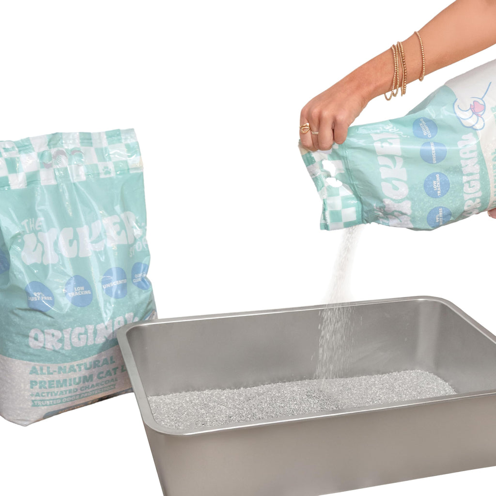 Unscented Clumping Bentonite Clay Cat Litter Set of 2 J56010