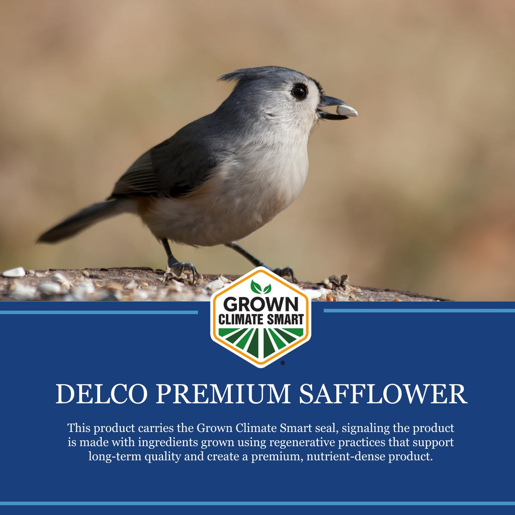 Safflower Wild Bird Seed 20 lb Bag N92842