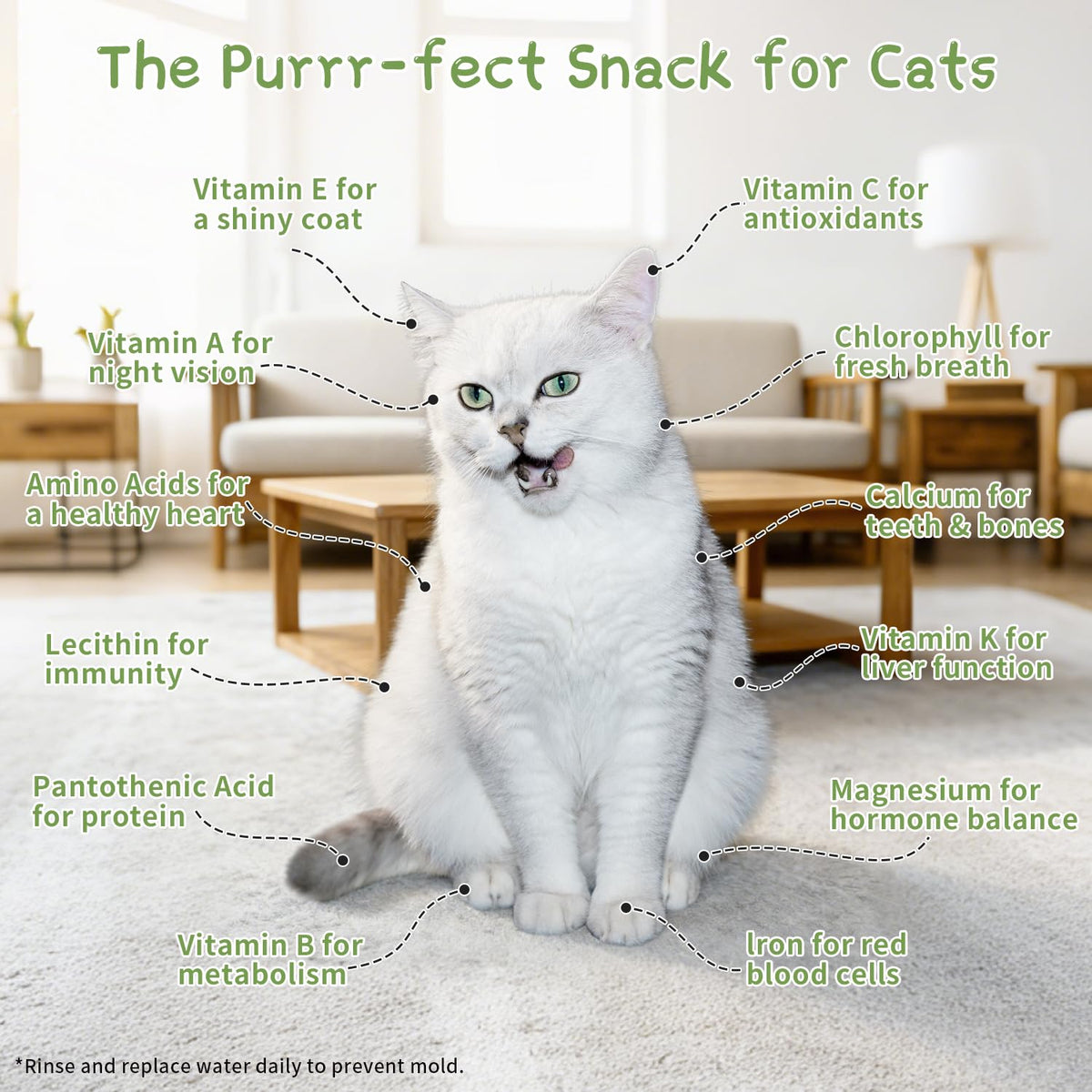 Cat Grass Growing Kit with 5 Pack Non GMO Seeds N527553