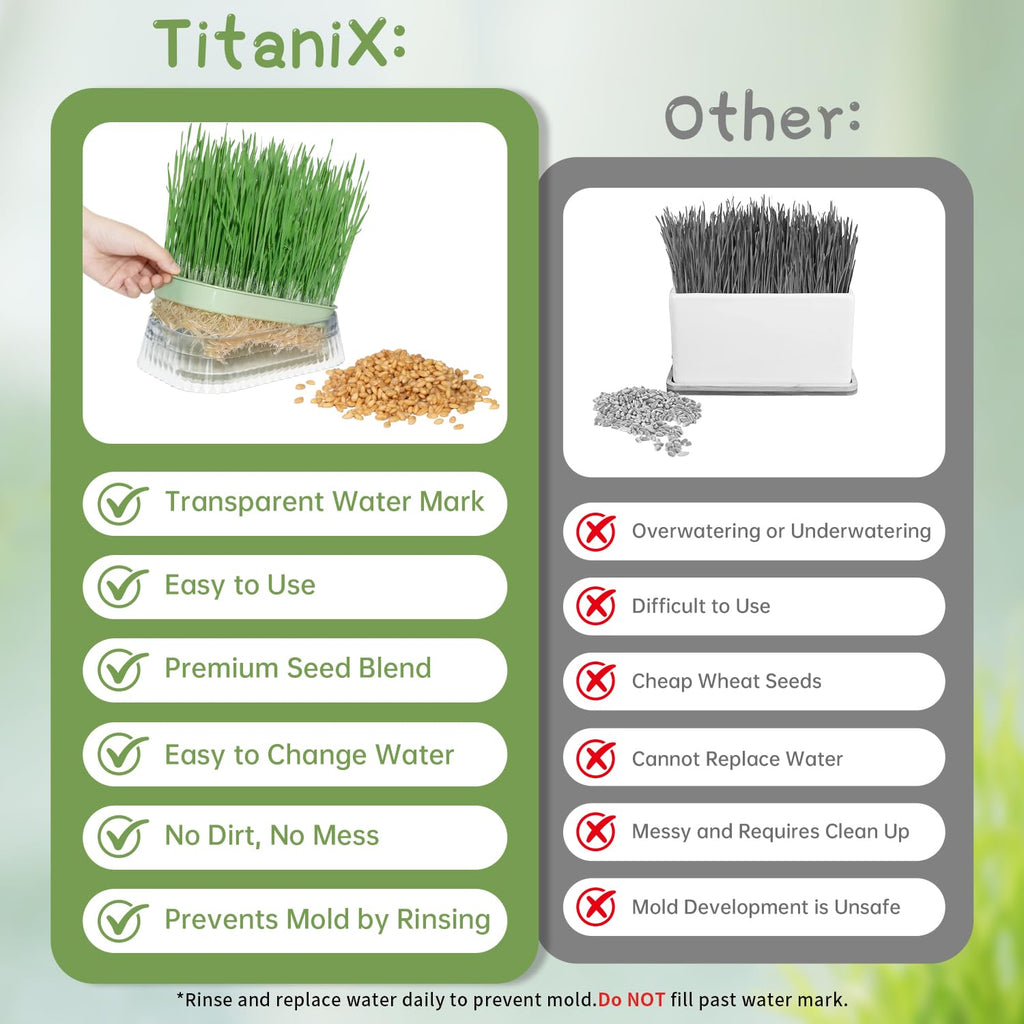Cat Grass Growing Kit with 5 Pack Non GMO Seeds N527553