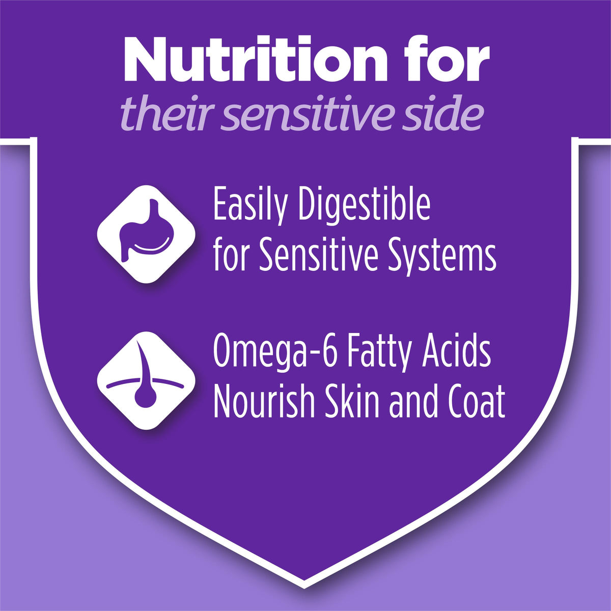 Sensitive Stomach & Skin Dry Cat Food 13 lb Bag T3546