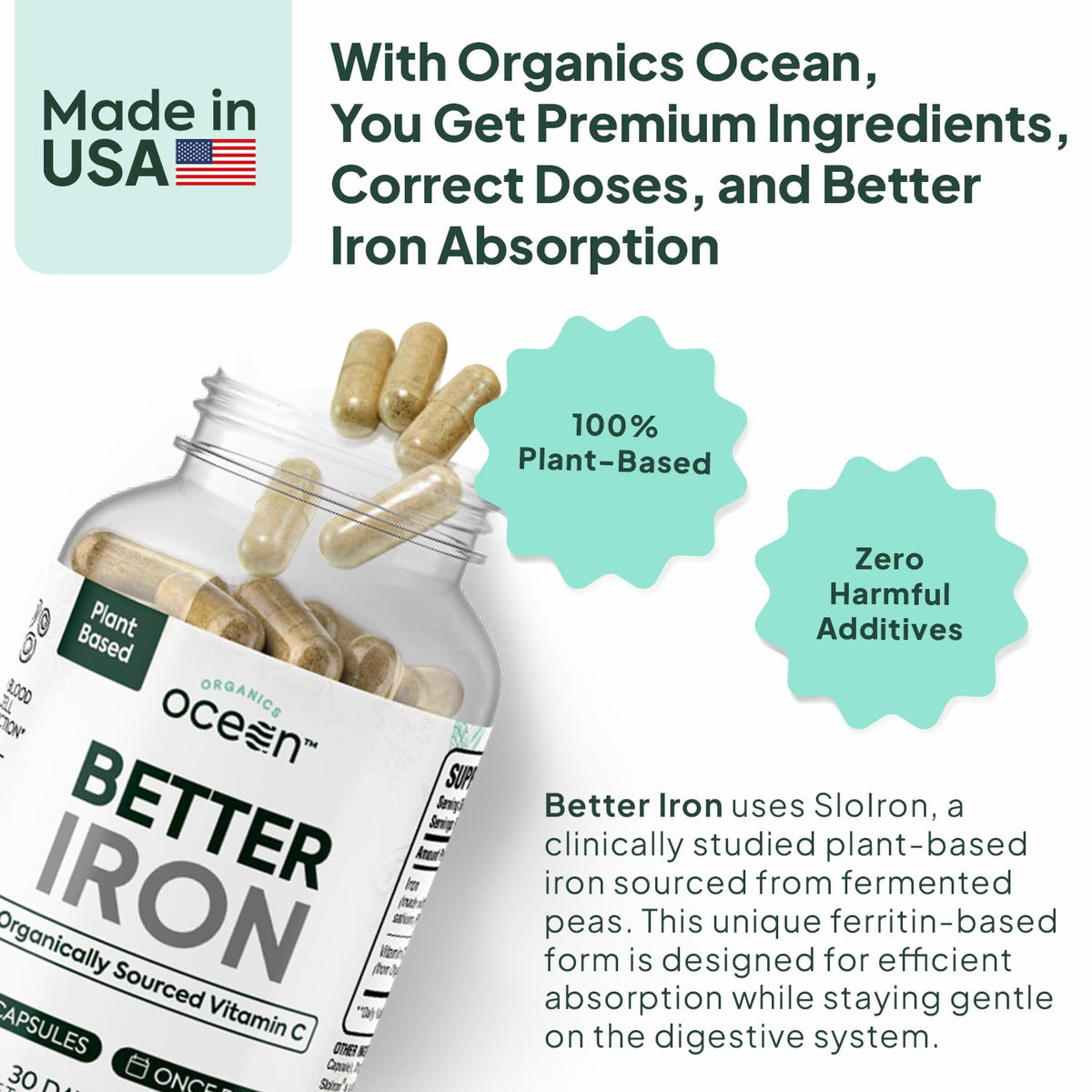 Plant-Based Iron Supplement, 30 Capsules R90208