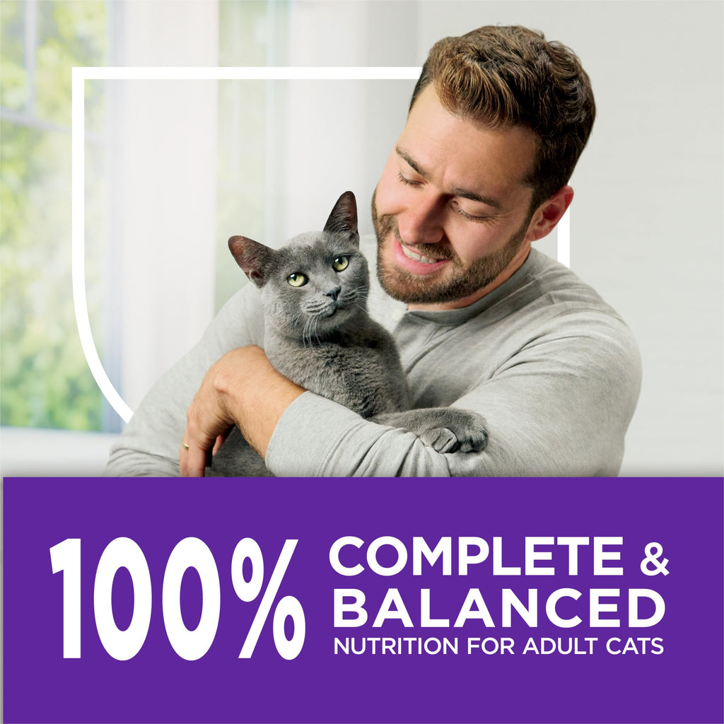 Sensitive Stomach & Skin Dry Cat Food 13 lb Bag T3546