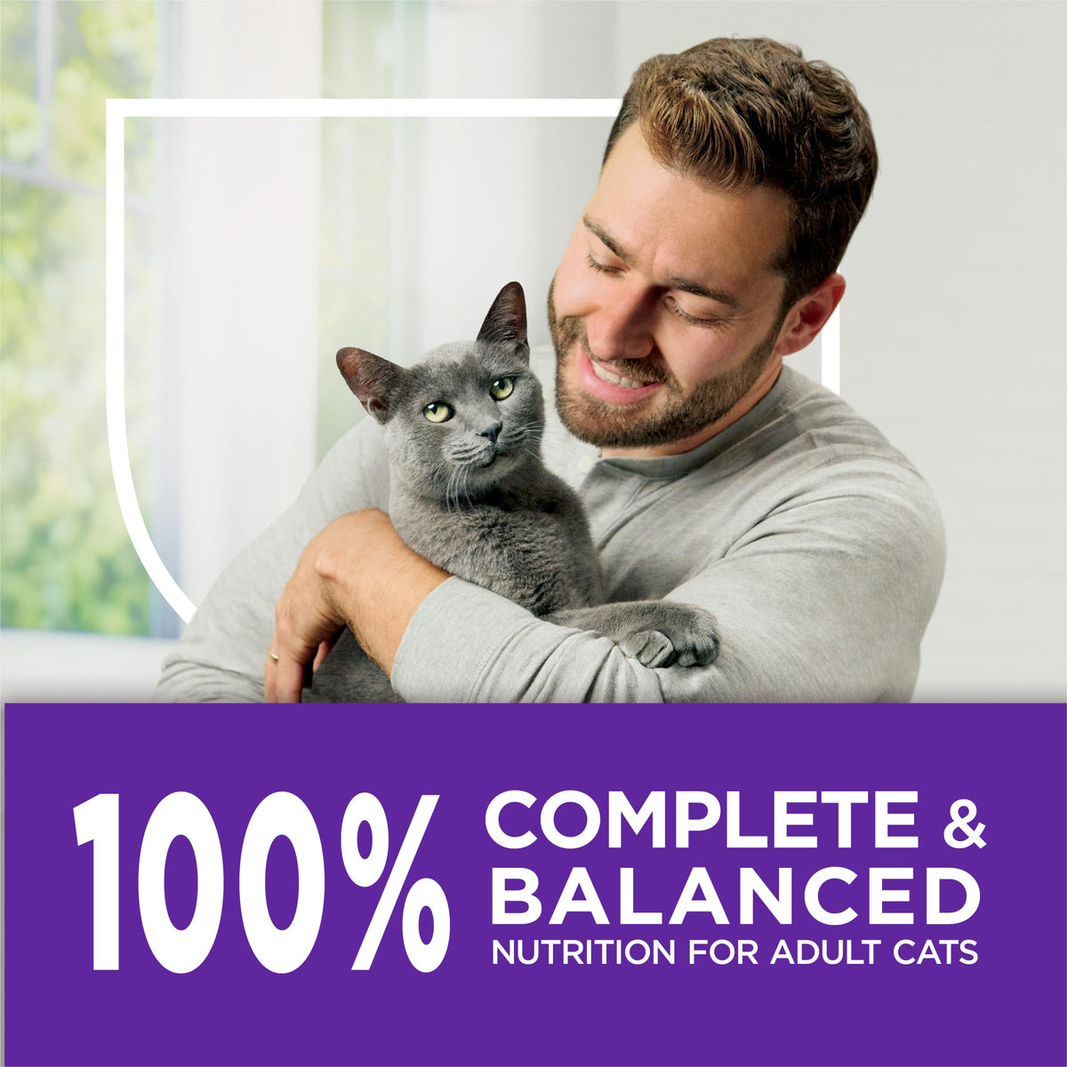 Sensitive Stomach & Skin Dry Cat Food 13 lb Bag T3546