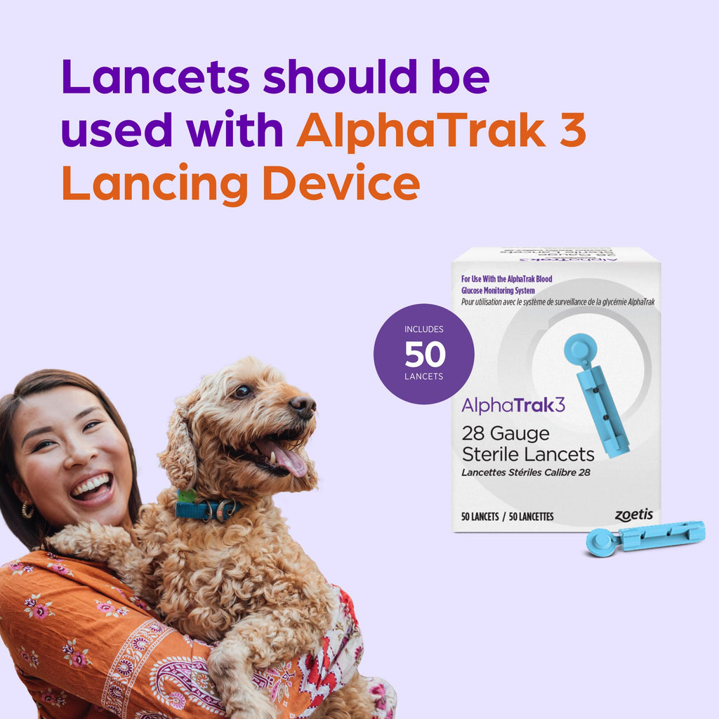 28 Gauge Sterile Lancets 50 Count Y446565