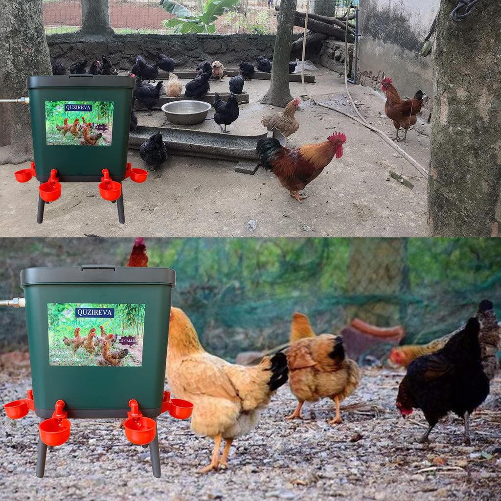4 Gallon Automatic Float Controlled Poultry Waterer with Hose and Cups D494