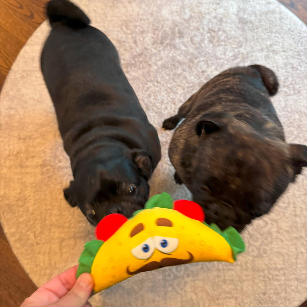 Plush Dog Toy with Squeaker H4764