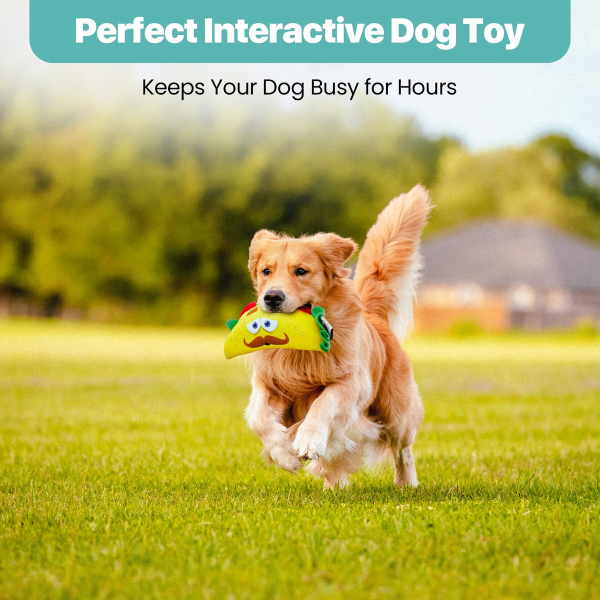 Plush Dog Toy with Squeaker H4764