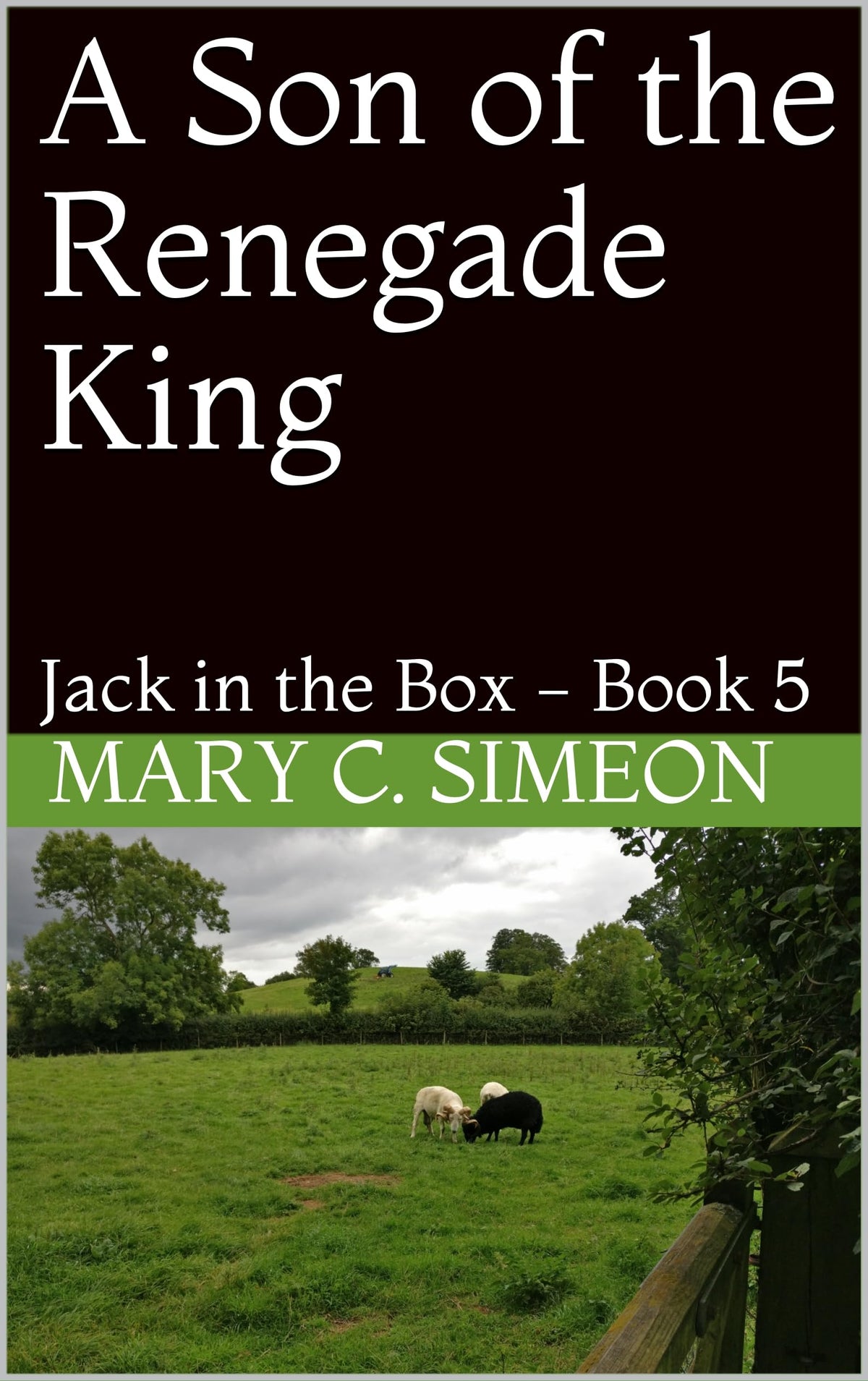 Book 5 W31423
