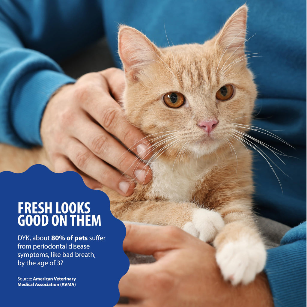 Tuna Flavor Cat Dental Water Additive T588619