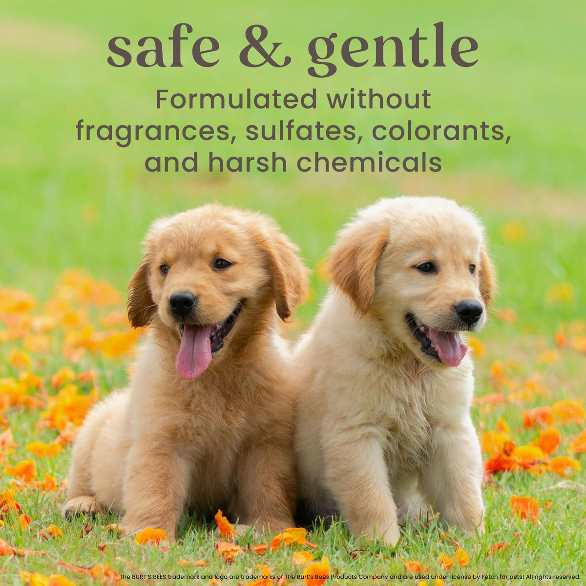 Itch Soothing Dog Spray Honeysuckle & Aloe 10 Fl Oz T9708
