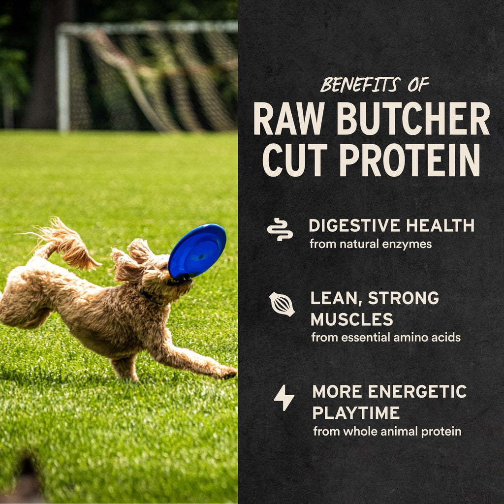 Freeze Dried Beef Liver Dog Treats 2.1 oz R738