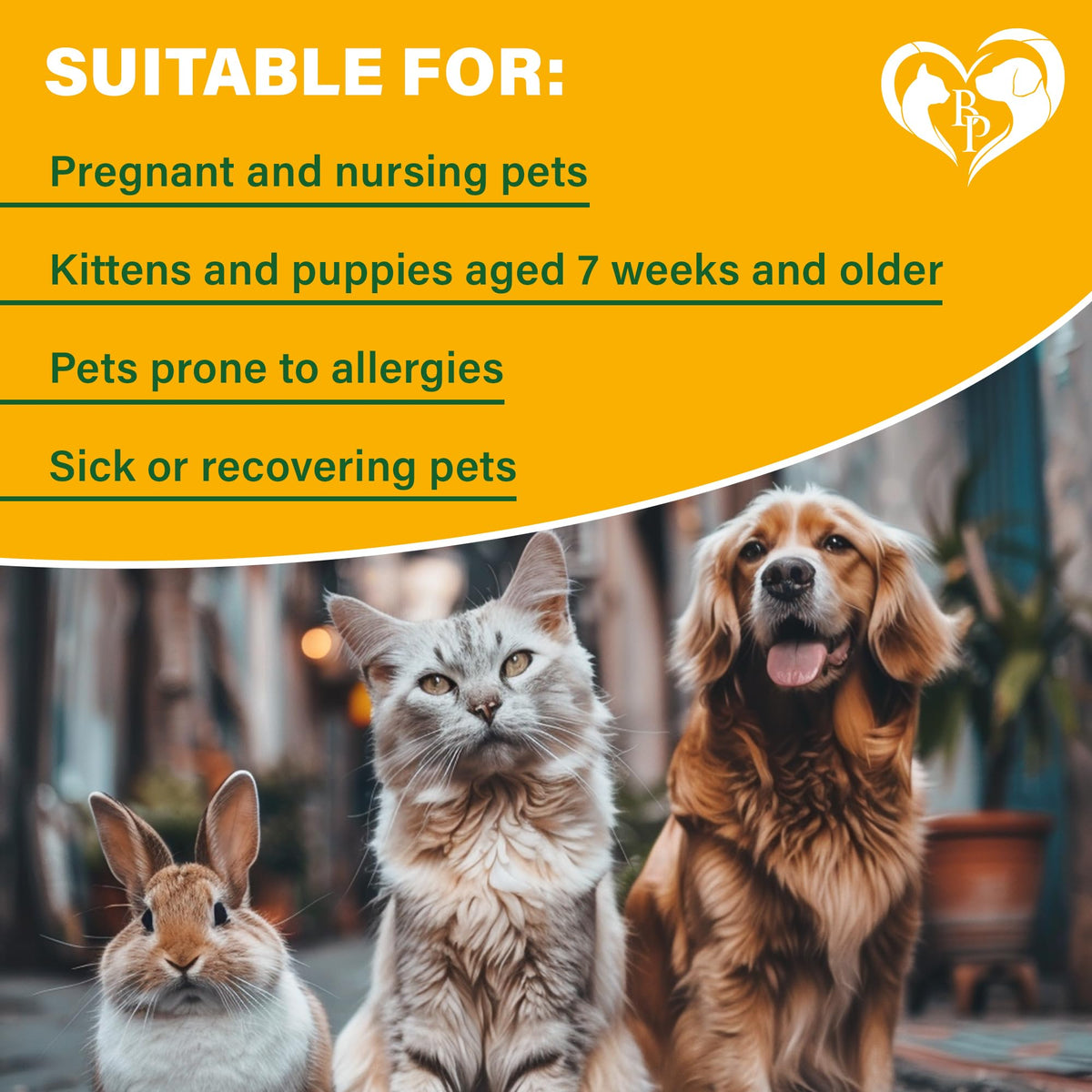 Natural Flea and Tick Home Spray Q211489