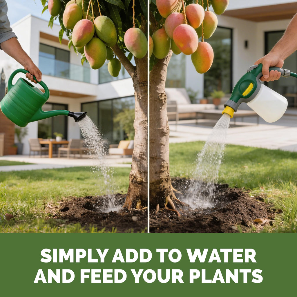 10-10-10 Fertilizer with Iron & Micros, 1 Gal V947