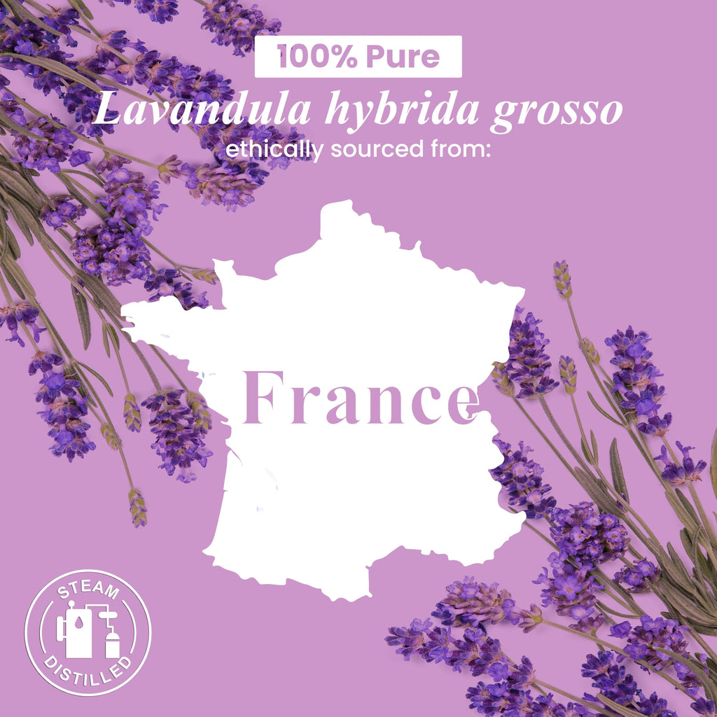 Lavender and Cedarwood Essential Oils 2 x 4 Fl Oz E60566