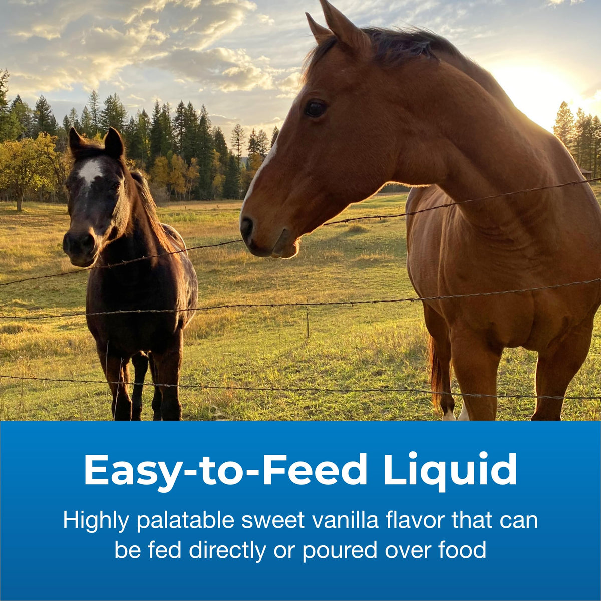32 oz High Calorie Liquid Nutritional Supplement G846408