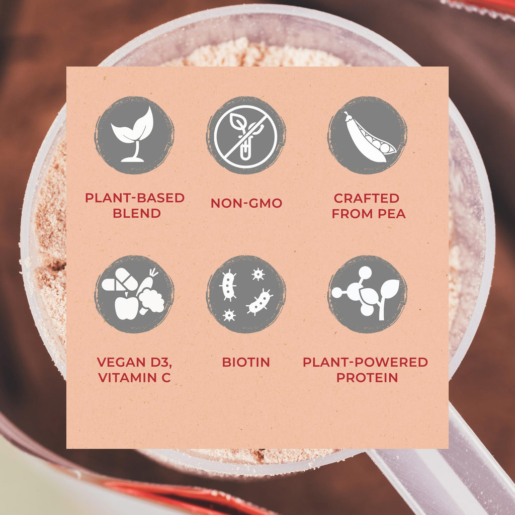 Vegan Protein Powder Vanilla W82018