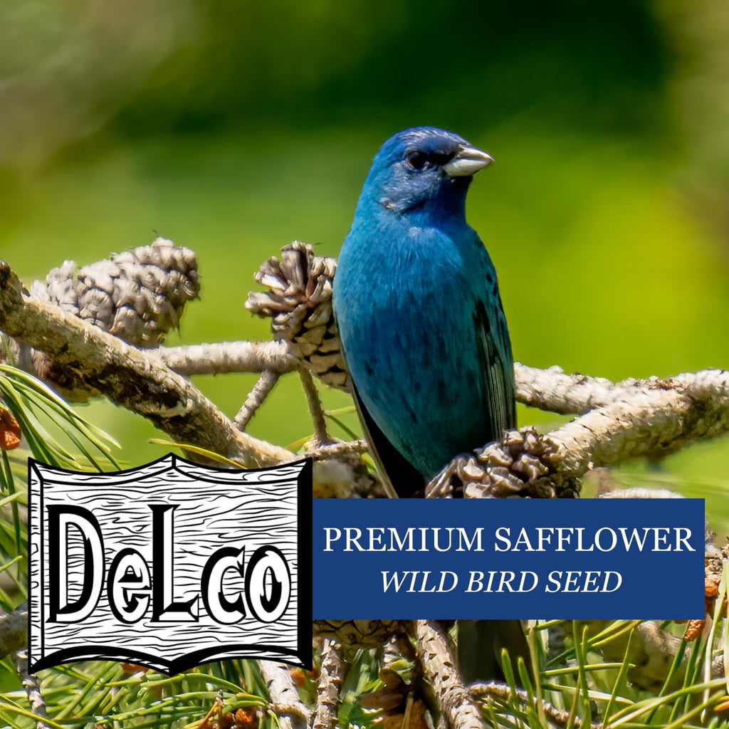 Safflower Wild Bird Seed 20 lb Bag N92842