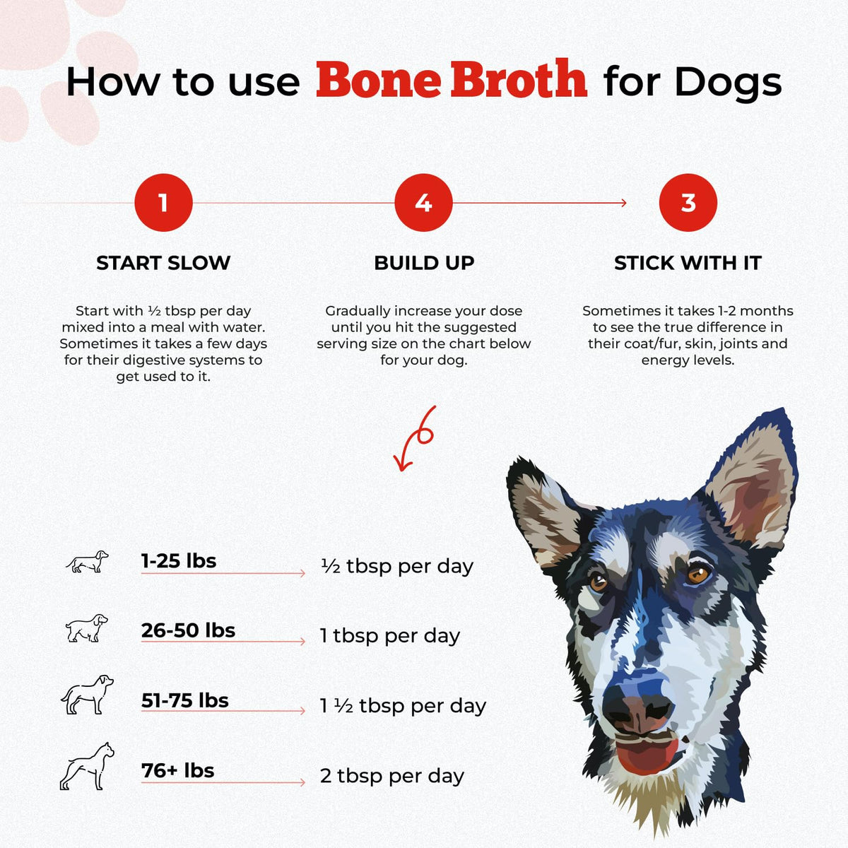 Beef Bone Broth Powder T7871
