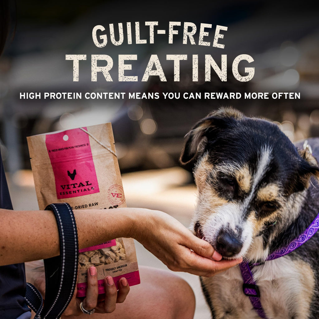 Freeze Dried Beef Liver Dog Treats 2.1 oz R738