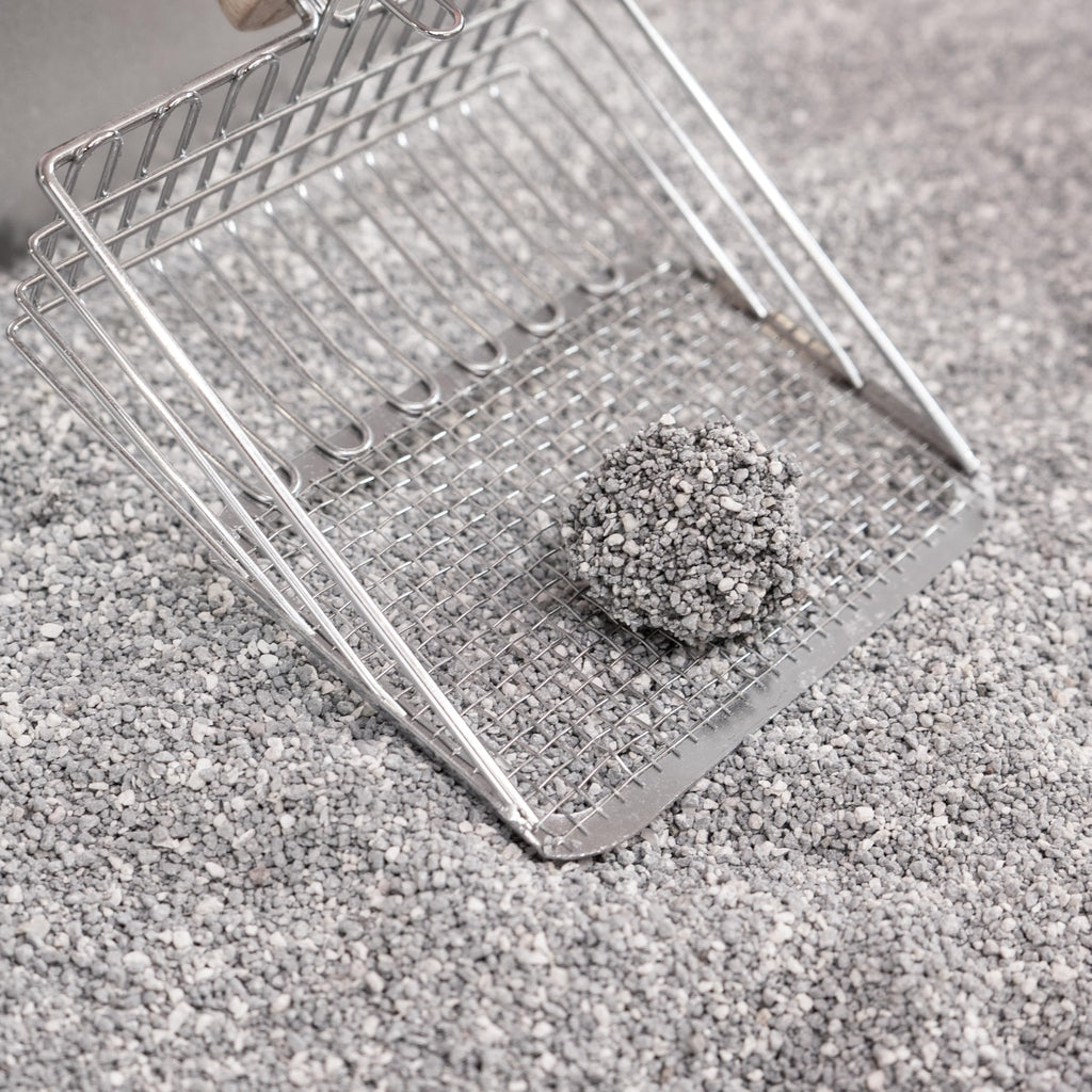 Unscented Clumping Bentonite Clay Cat Litter Set of 2 J56010
