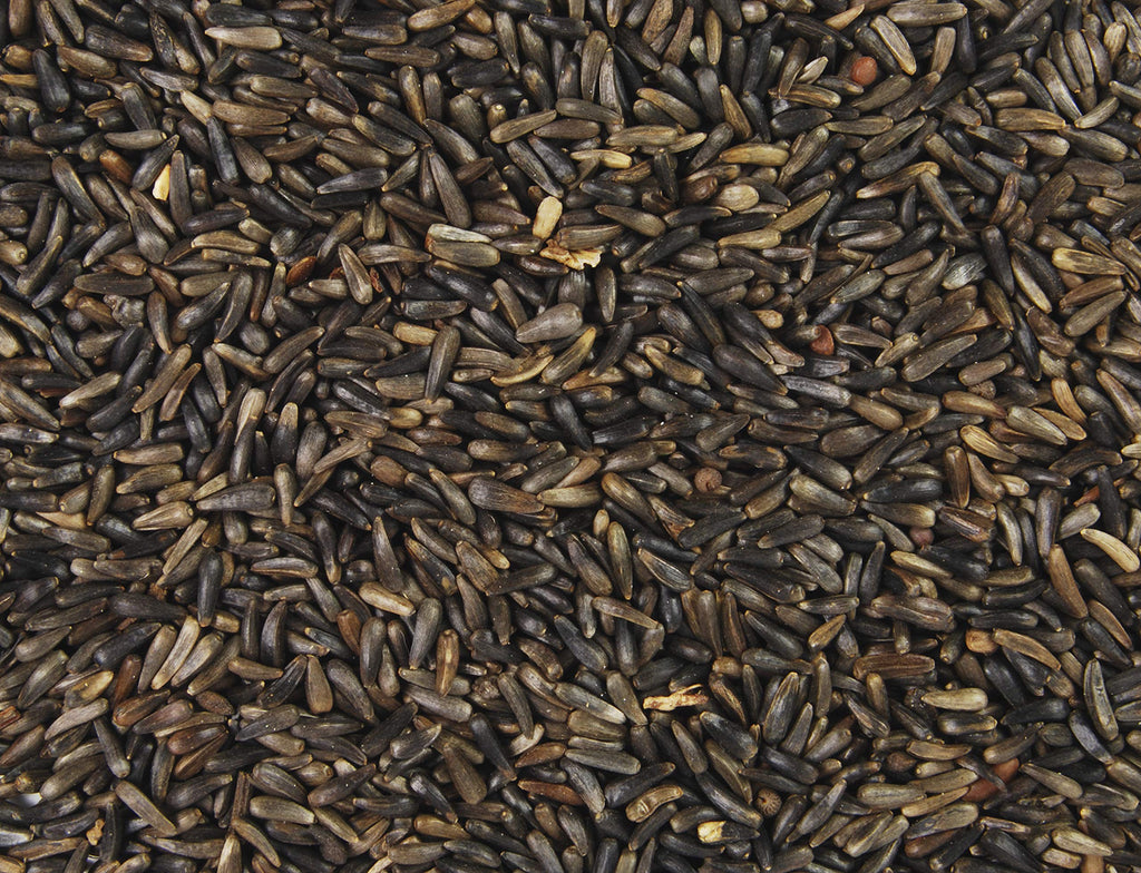 Nyjer Thistle Bird Seed 20-Pound Bag O796
